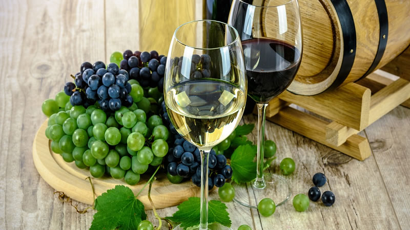 От 14 март започва прием по мярка „Преструктуриране и конверсия на лозя“ от лозаро-винарската програма за 2022 г.