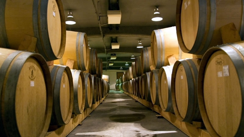 До 15 декември ДФЗ приема заявления по интервенциите „Информиране в държави членки“ и „Популяризиране в трети държави“ в лозаро- винарския сектор