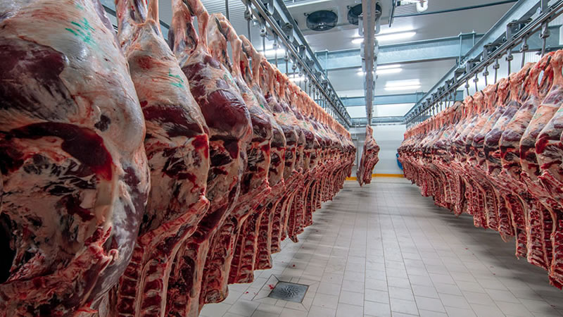 От 18 април кланиците кандидатстват по de minimis за реализация на българско агнешко месо