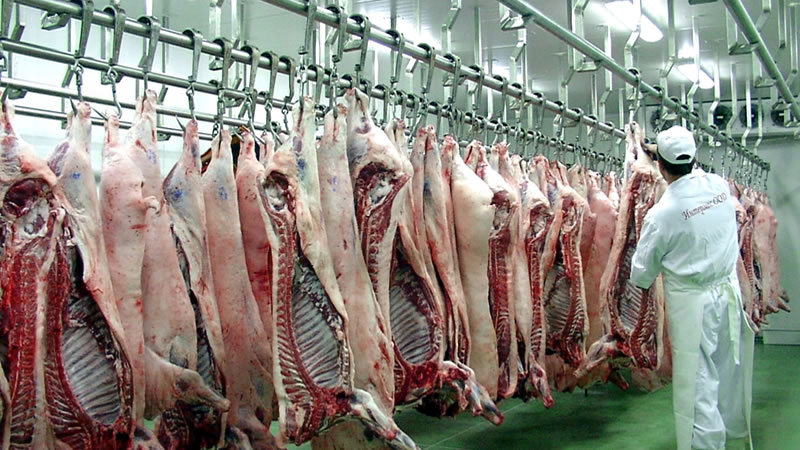 Отпускат се 1,4 млн. лева за реализация на българско говеждо месо