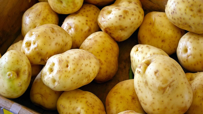 Отпускат се 2 млн. лева на картофопроизводителите за борба с вредителите