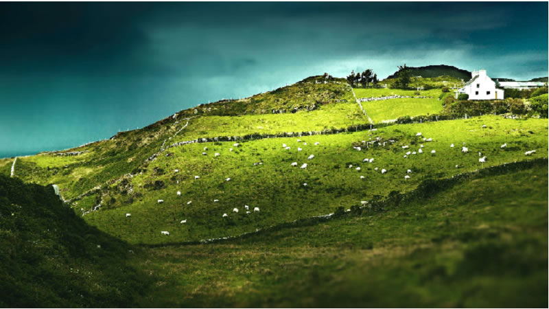 Стопаните, заявили необлагодетелствани райони, получиха 101 млн. лева за Кампания 2025