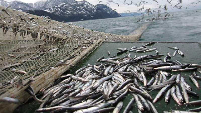 Сектор „Рибарство“ получи подкрепа от 780 хил. лв. по ПМДР 2014-2020