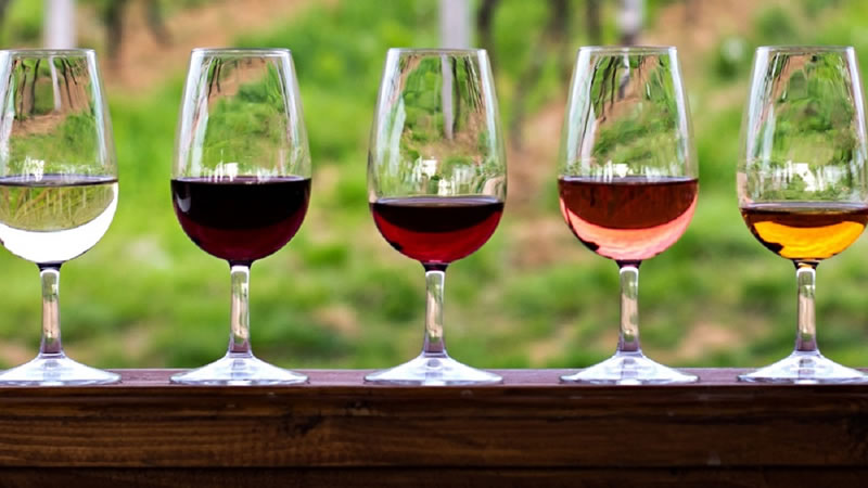 От 1 април стартира прием по мярката за инвестиции във винарски предприятия