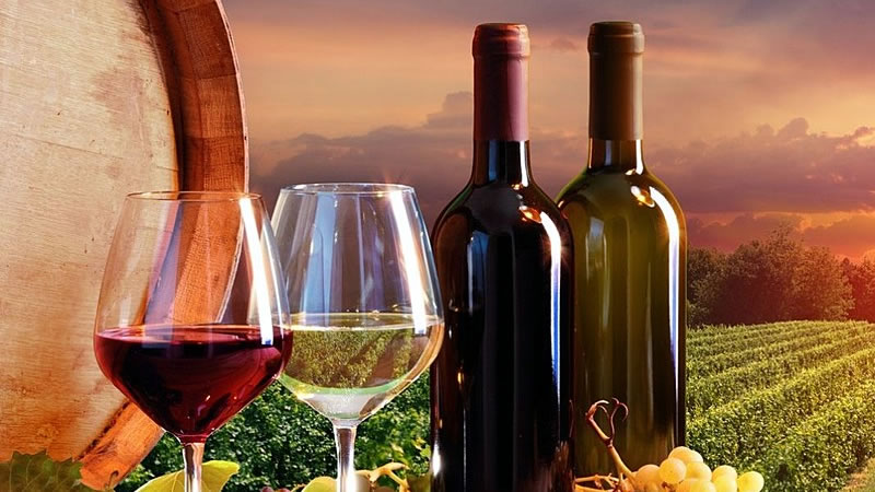 Над 42 млн. лева са заявените инвестиции във винарски предприятия