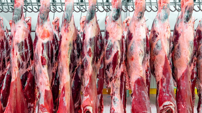 Отпускат се 1 млн. лева на кланиците за изкупуване и реализация на българско агнешко месо