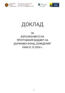DFZ_doklad_31.12.2024