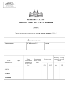 Анкета De minimis 2024