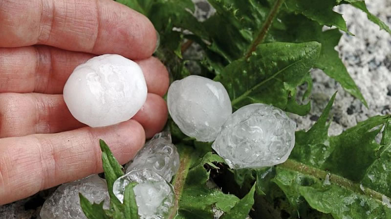 Утвърдени са нови указания по помощта за пропаднали площи от градушка, буря и проливен дъжд, наводнение и суша, настъпили през 2025 г.