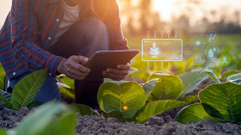 Стопаните могат да подават разходооправдателни документи в Системата за електронни услуги по Еко – ЗВПП и Еко – НИП