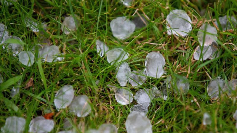 От 2 март стопаните могат да заявяват подпомагане за пропаднали площи от градушка, буря и суша, настъпили през 2024 г.