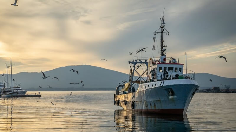 ДФЗ преведе над 1,6 млн. лева по новата Програма за морско дело и рибарство 2021–2027