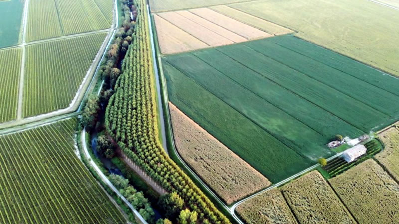 Публикуван е Индикативният график за Кампания 2025 с плащанията до 30 юни